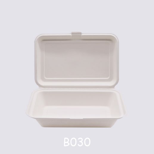 Bagasse fork