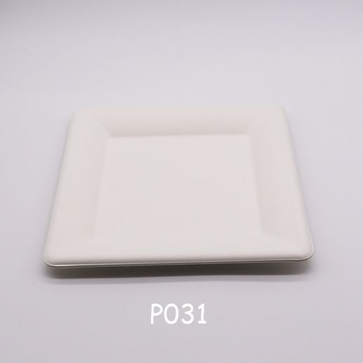 Bagasse plate 10''